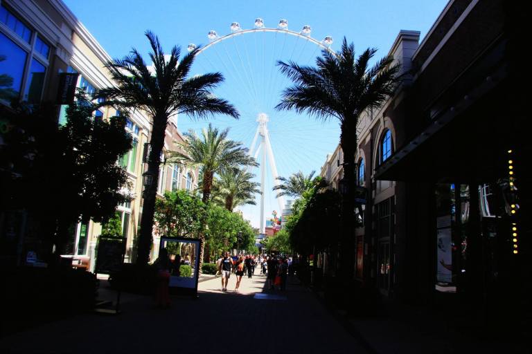 11102907_10153337800142162_4413068199504527346_o