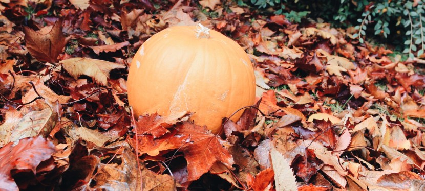 Urban Outfitters Haul and Hallowe’en Happiness