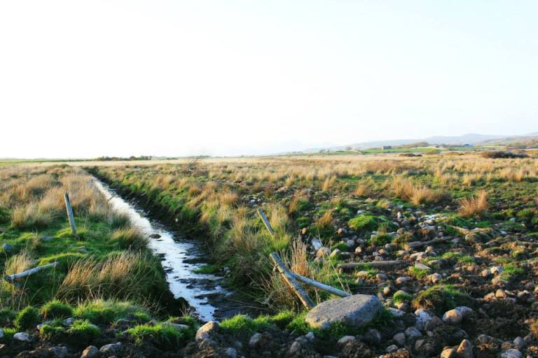 1014062_10152362838372162_5722299713362549292_n