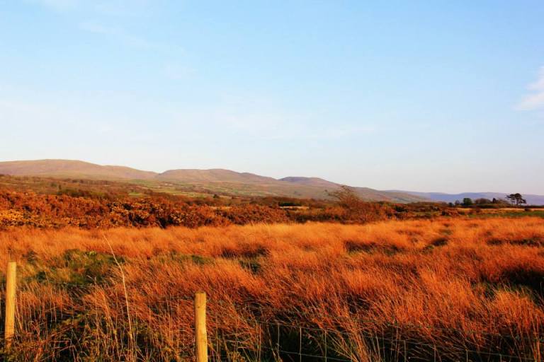 10154934_10152362838902162_8702830711620972732_n