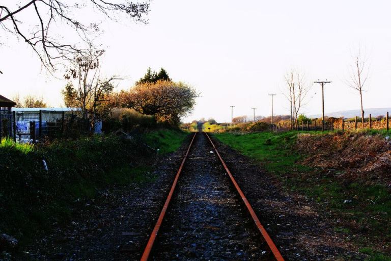 10155049_10152362839642162_2469178358486993181_n