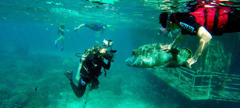 Battle of the&nbsp;Reefs