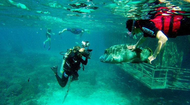 10515204_10152607450242162_7808979955329956212_o