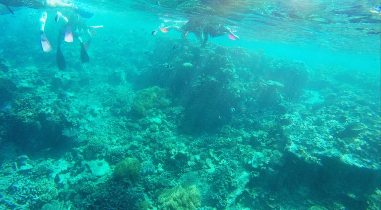 10548013_10152607444992162_1350495569118348347_o