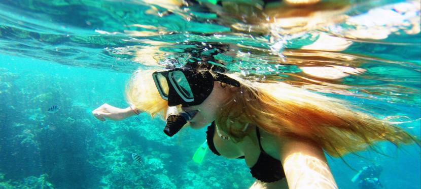 7.5 Photos that will make you want to snorkel at the Great Barrier&nbsp;Reef