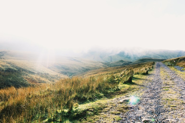 Processed with VSCO with g3 preset