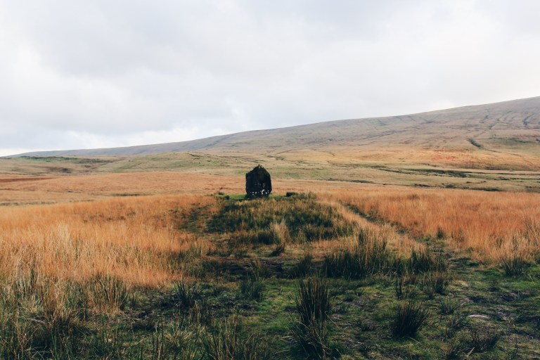 Processed with VSCO with hb1 preset