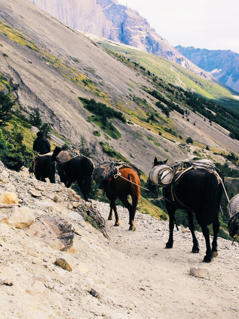 Processed with VSCO with g2 preset