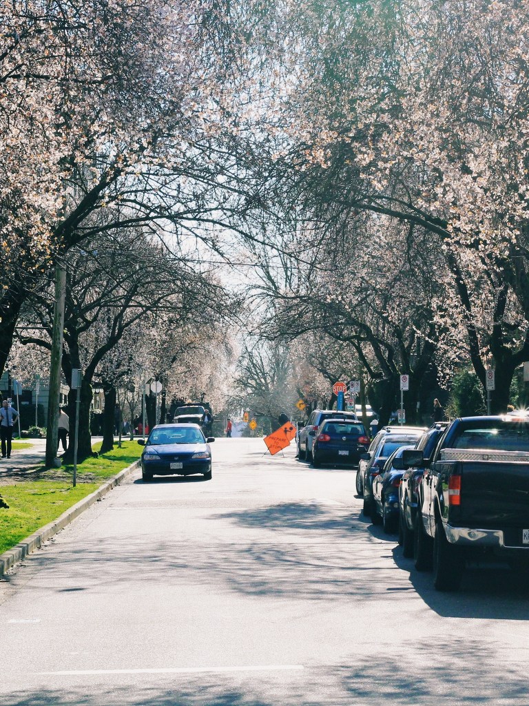 Processed with VSCO with c3 preset