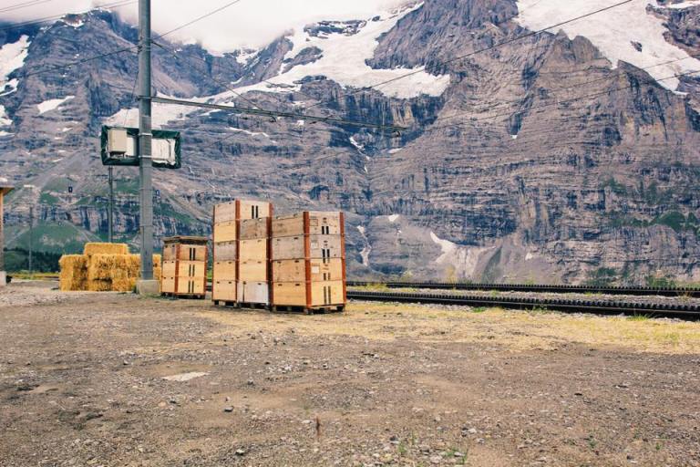 13921044_10154422482907162_196792648778445329_n