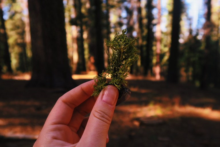 Processed with VSCO with l12 preset