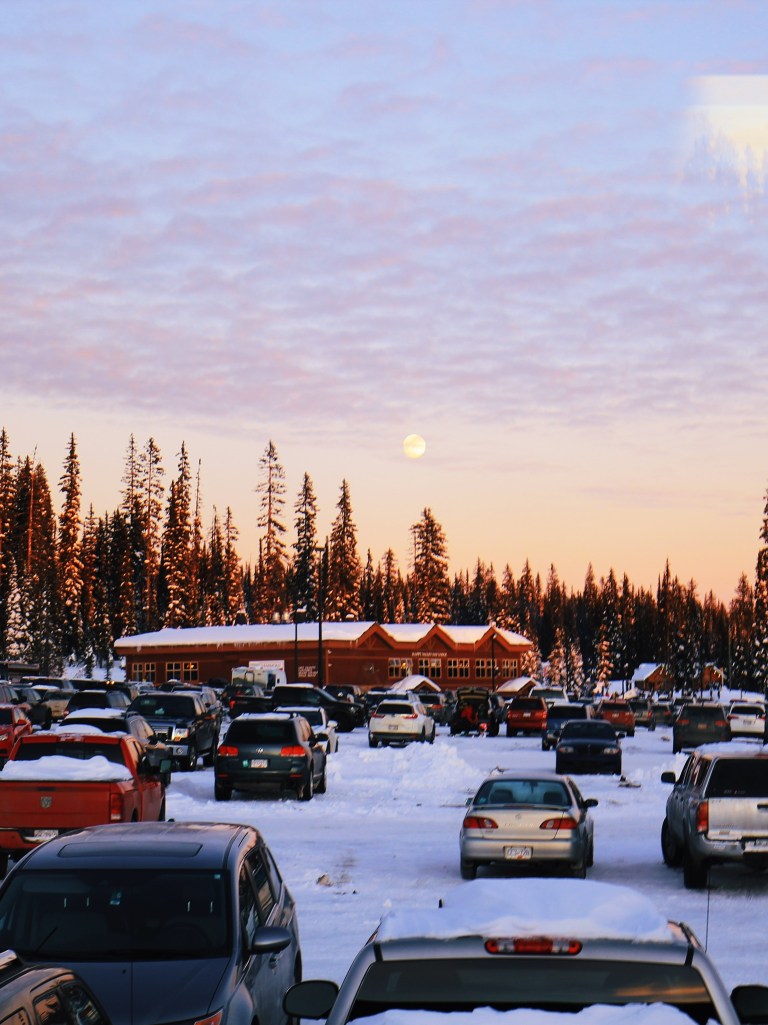 Processed with VSCO with l12 preset