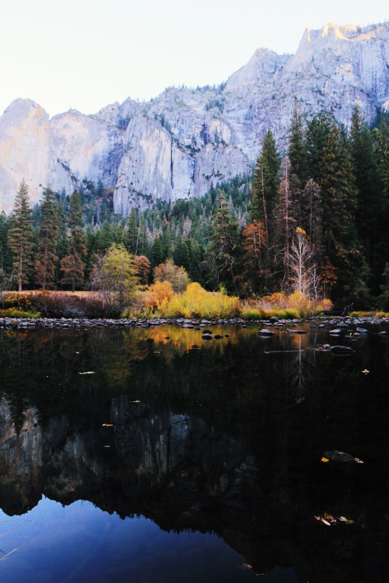 Processed with VSCO with l12 preset