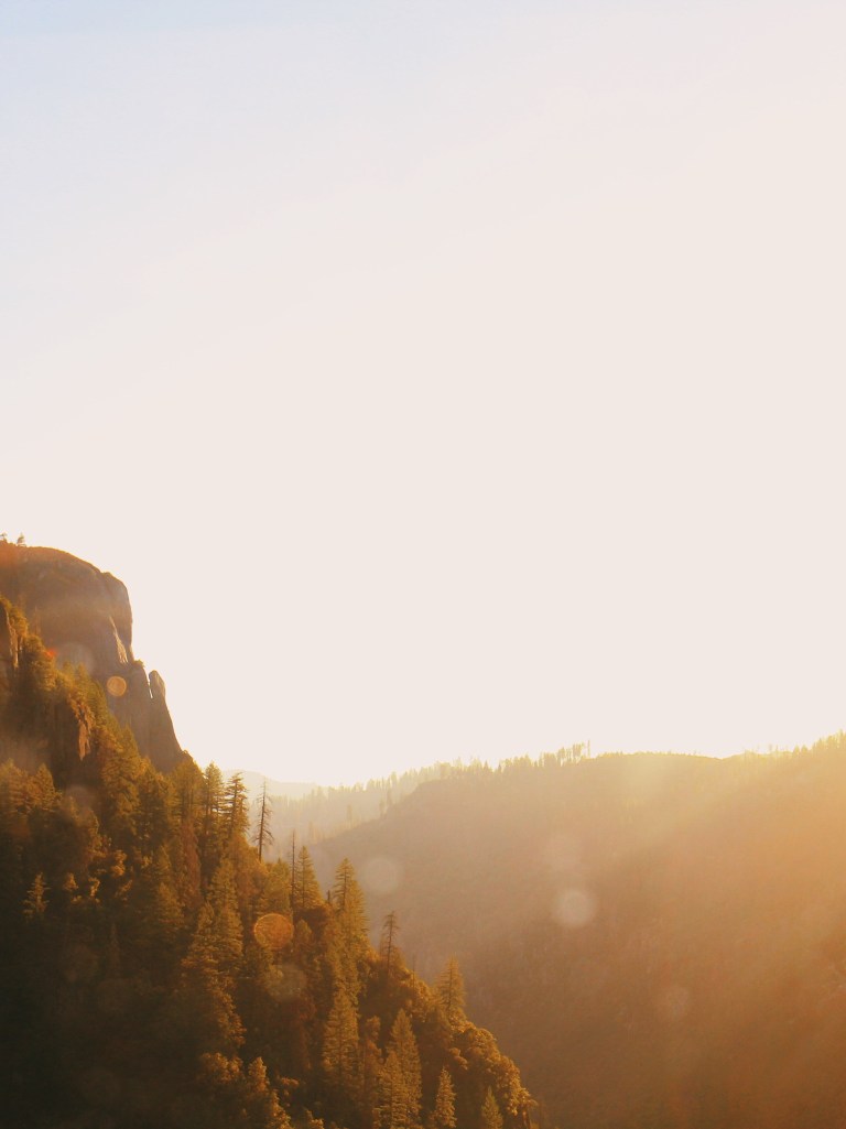 Processed with VSCO with l12 preset