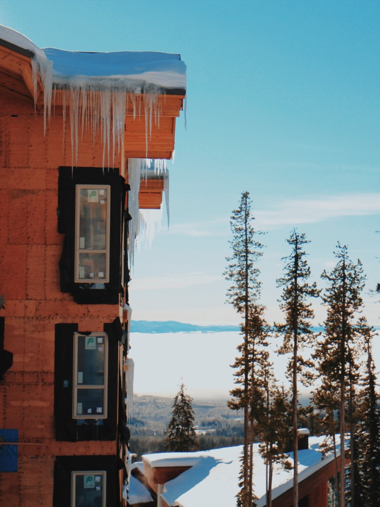 Processed with VSCO with c8 preset