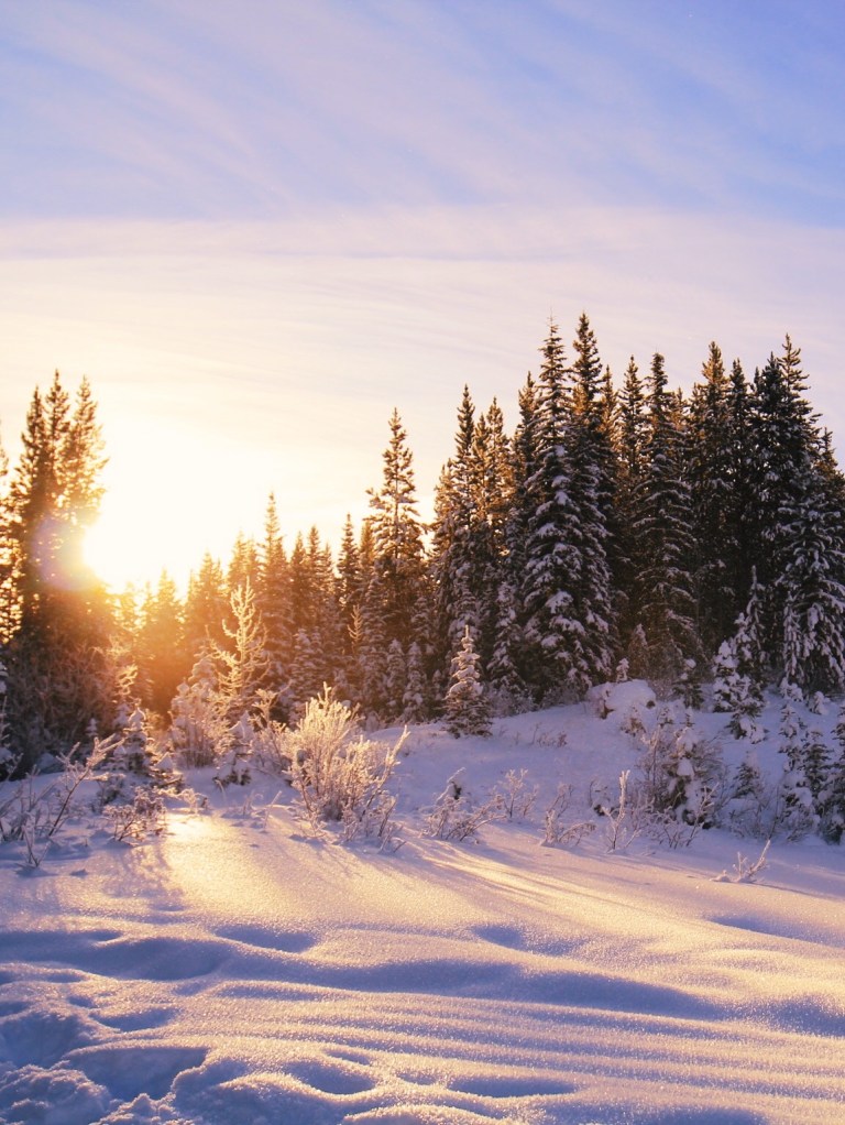 Processed with VSCO with l12 preset