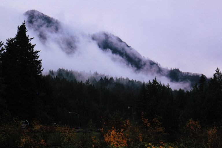 Processed with VSCO with l12 preset