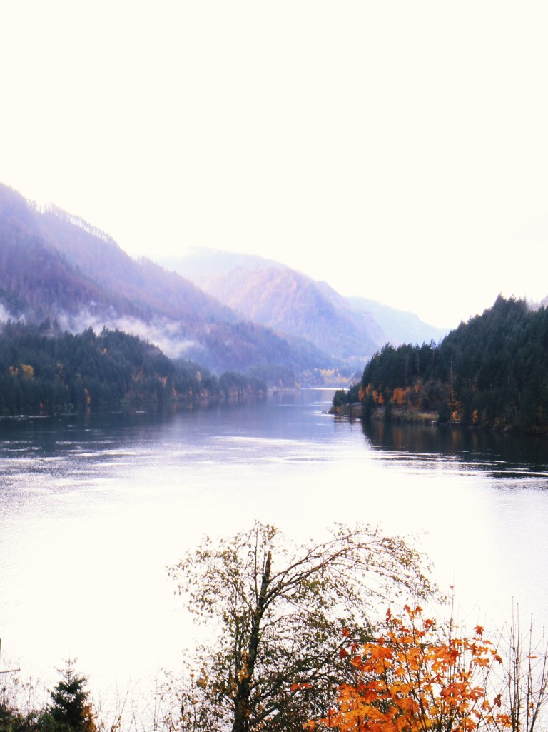 Processed with VSCO with l12 preset