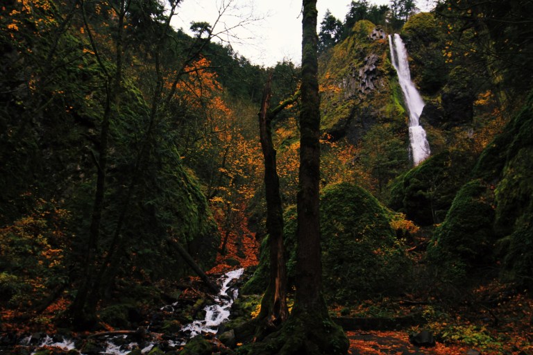 Processed with VSCO with l12 preset