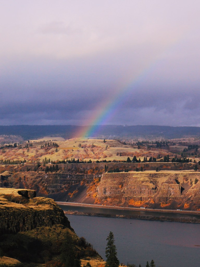 Processed with VSCO with l12 preset