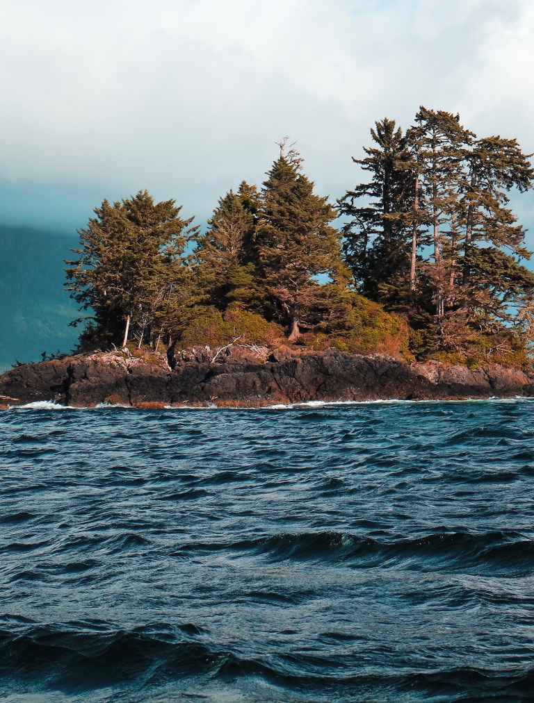 31a3d93c-a0e6-4005-b8b2-acf2ddfdf70d