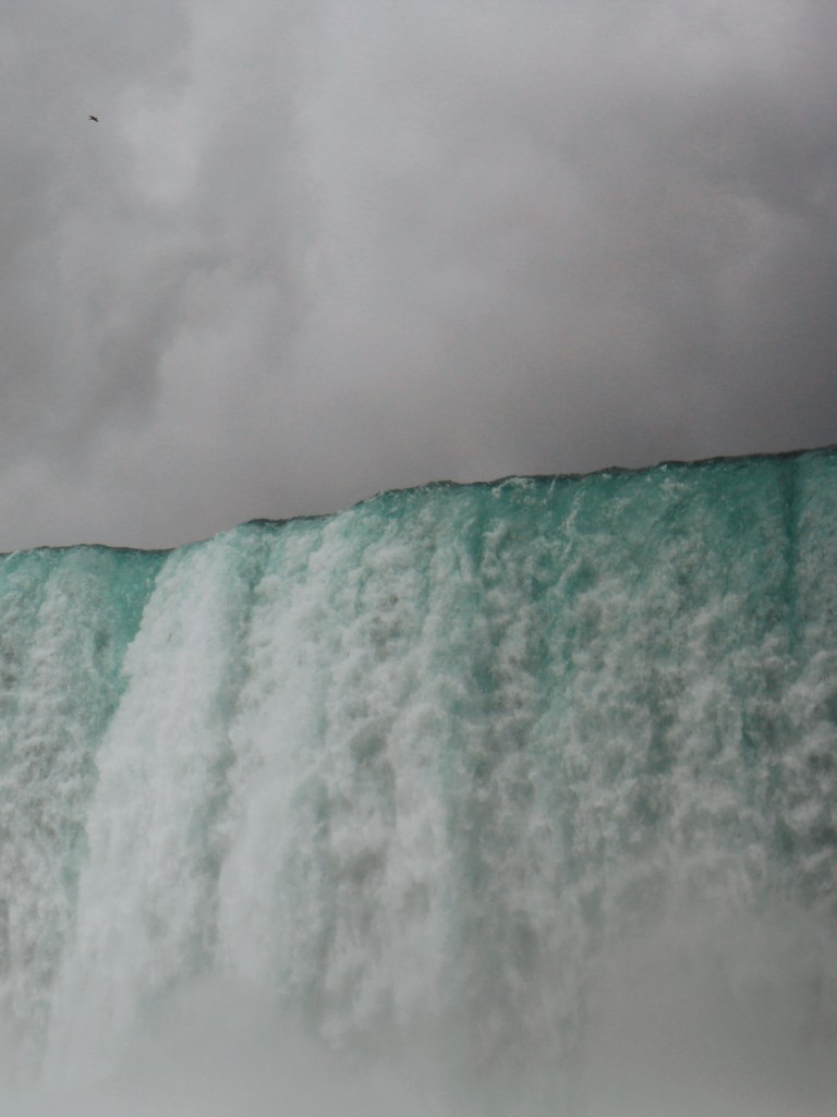 Processed with VSCO with c8 preset