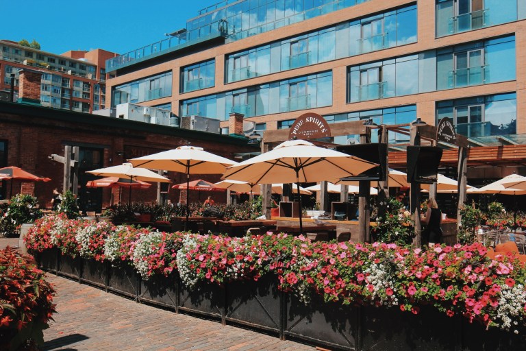 Processed with VSCO with c8 preset