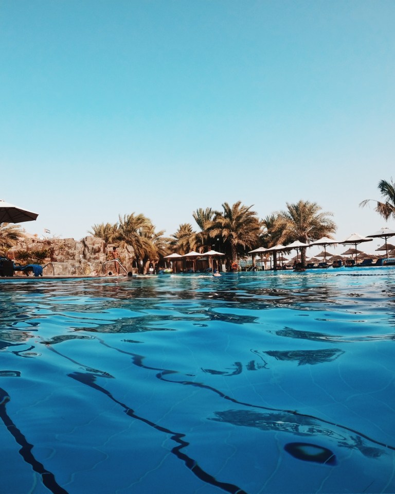 DCIM100GOPROGOPR0014.JPG Processed with VSCO with c8 preset