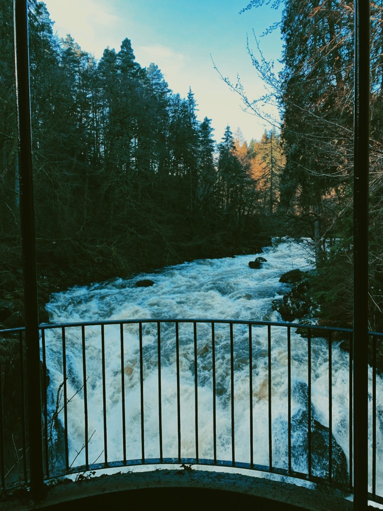 Processed with VSCO with aga1 preset